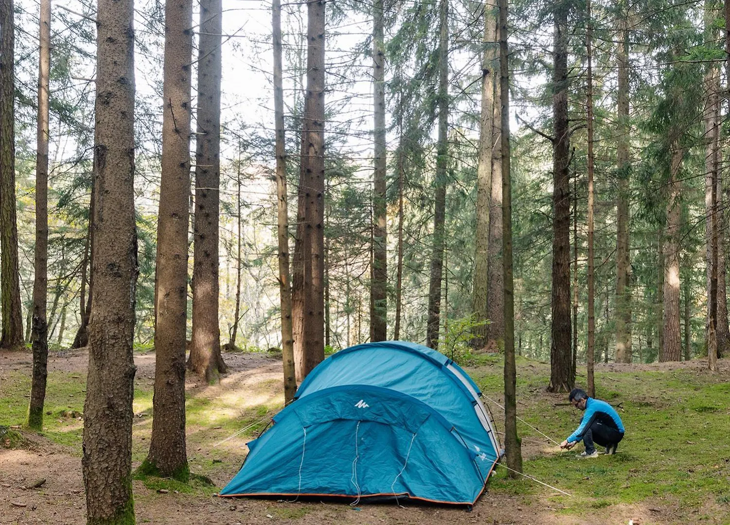 Placat Eco Camping Nel Bosco Bossico