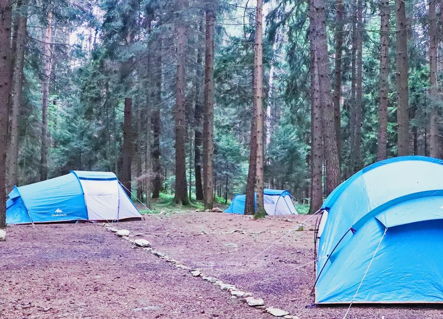 Placat Eco Camping Nel Bosco Bossico